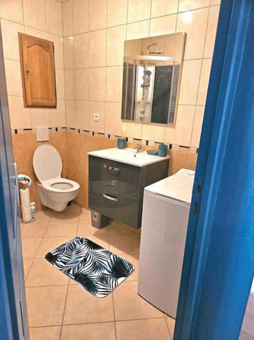 Spacieux Et Charmant Appartement De 47 M2 Charleville-Mezieres Ngoại thất bức ảnh